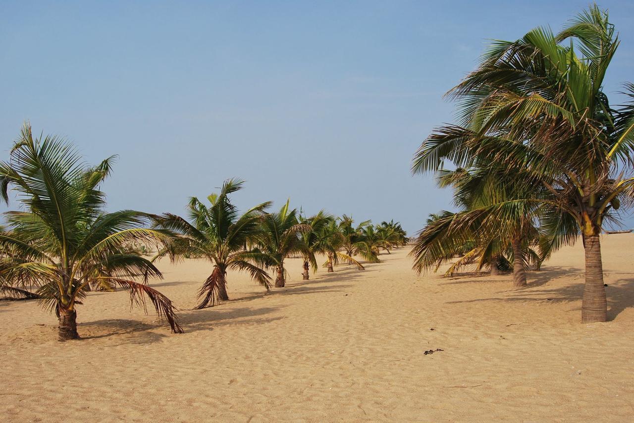 A&Y Wild Camp Ghana Keta Εξωτερικό φωτογραφία
